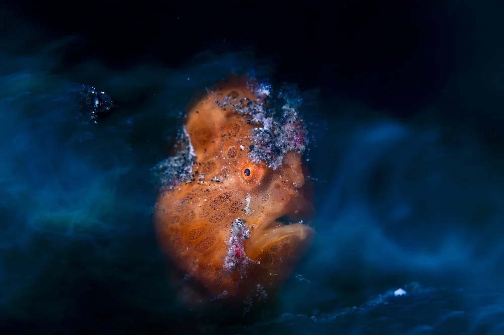 CAPTIVATING DETAILS AND STRIKING BEAUTY, WORKS FROM LEMBEH STRAIT AND TULAMBEN EARN RECOGNITION AT CUPOTY 2026